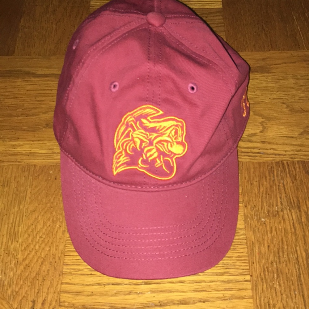 Good Condition Disney Grumpy Hat